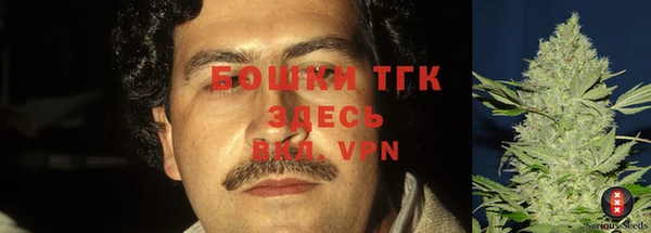 прущие крисы Горно-Алтайск