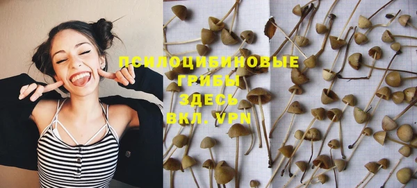 mix Вязьма
