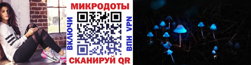 Псилоцибиновые грибы Cubensis Петухово